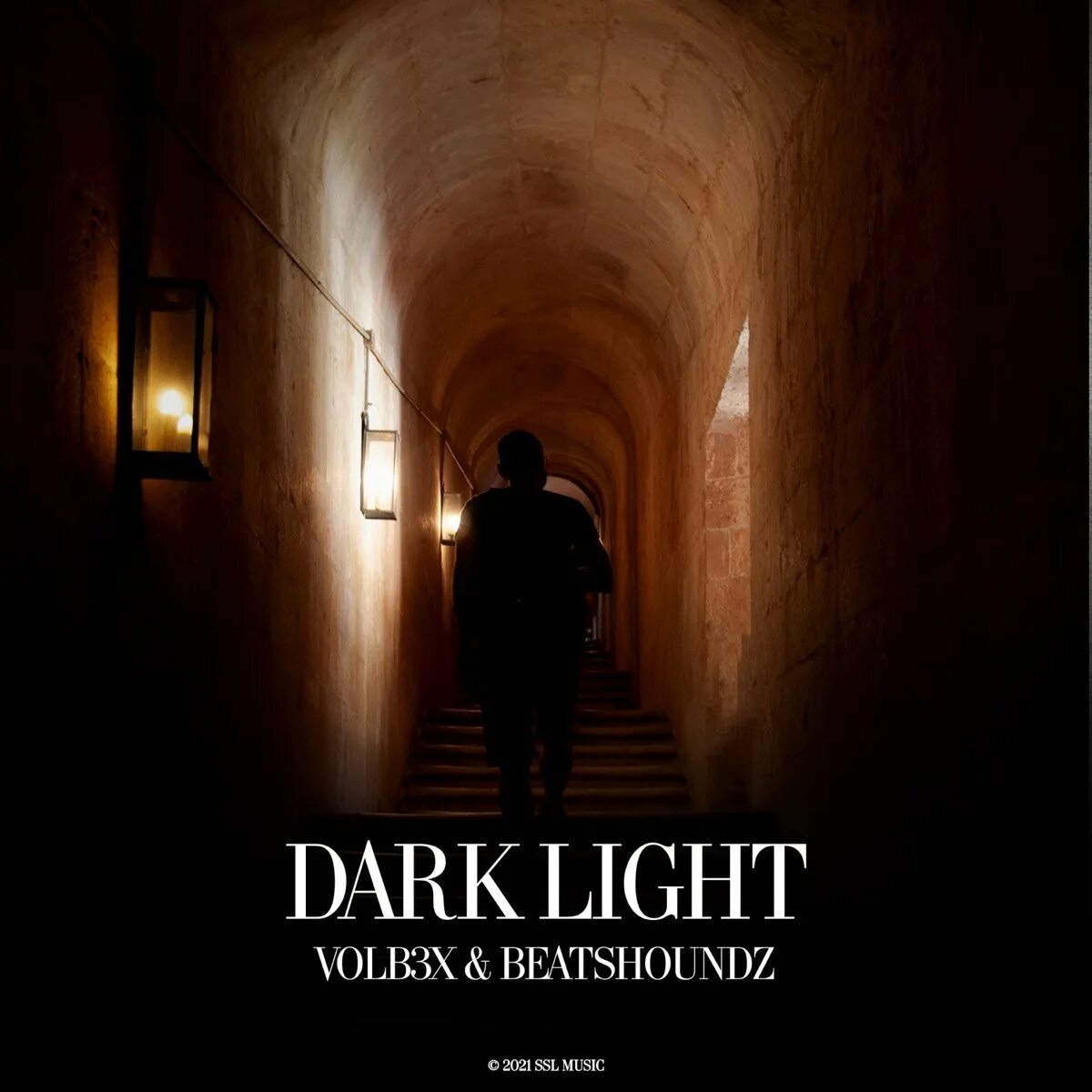 Dark Light volb3x, BEATSHOUNDZ. Volb3x Dark Light. Night Lovell - Dark Light (BEATSHOUNDZ & volb3x Remix). The Light and the Dark. Dark light volb3x