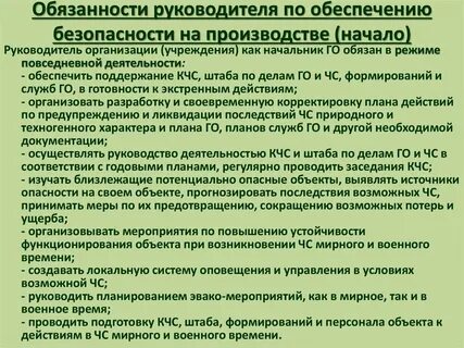 Ответственность генерального директора сроки