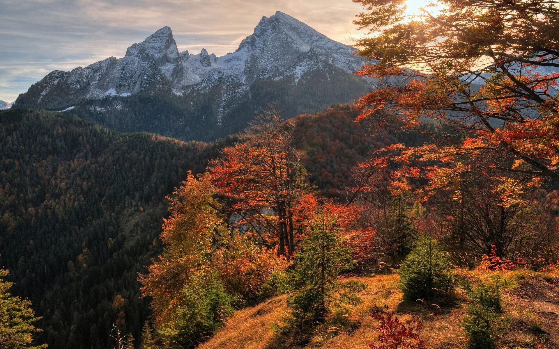 Красивые осенние горы. Аппалачи панорама. осень в горах. горы осенью. осенний лес в горах.