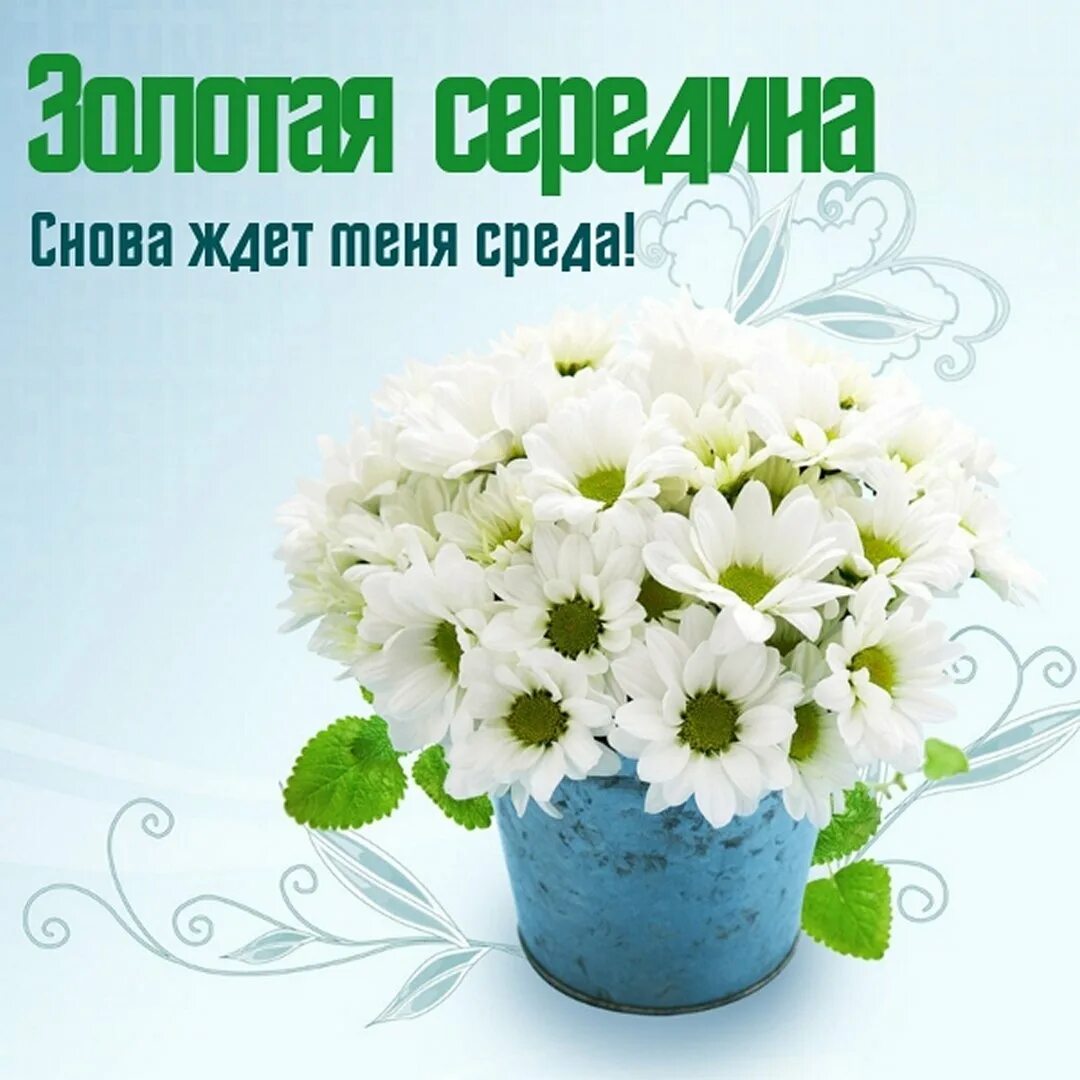 Среда недели картинки. Среда день недели картинки. среда веселые картинки. фон для открытки с днем рождения. среда середина недели.
