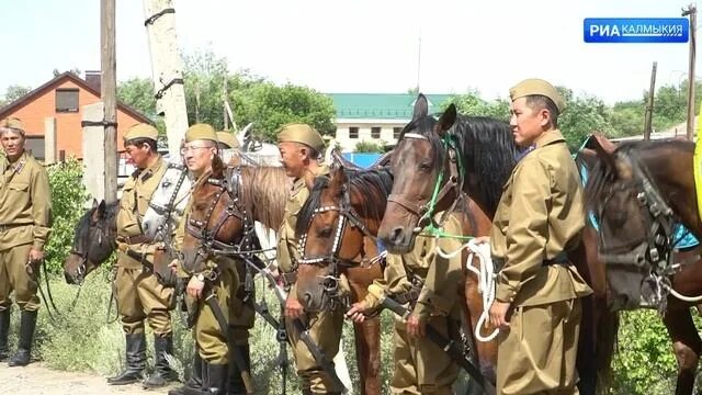 110 отдельная калмыцкая кавалерийская дивизия. Конный поход посвященный памяти 110-й калмыцкой кавалерийской дивизии. 110 калмыцкая кавалерийская дивизия. 110 калмыцкая кавалерийская. 110 калмыцкая кавалерийская.