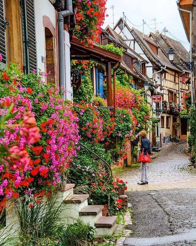 Street of flowers. Эгисхайм Эльзас. Эгисхайм Эльзас, Франция. Грасс город во Франции улочки. Эгисхайм Эльзас река.