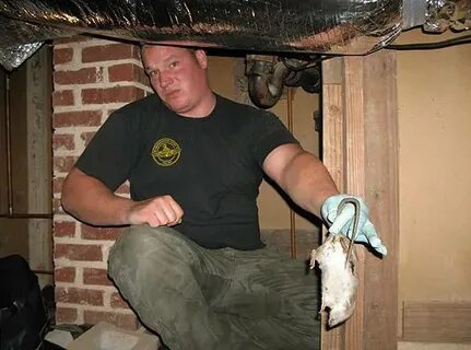 Запах под полом