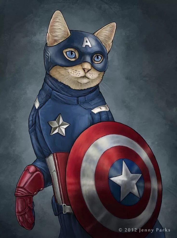 Super cat 4