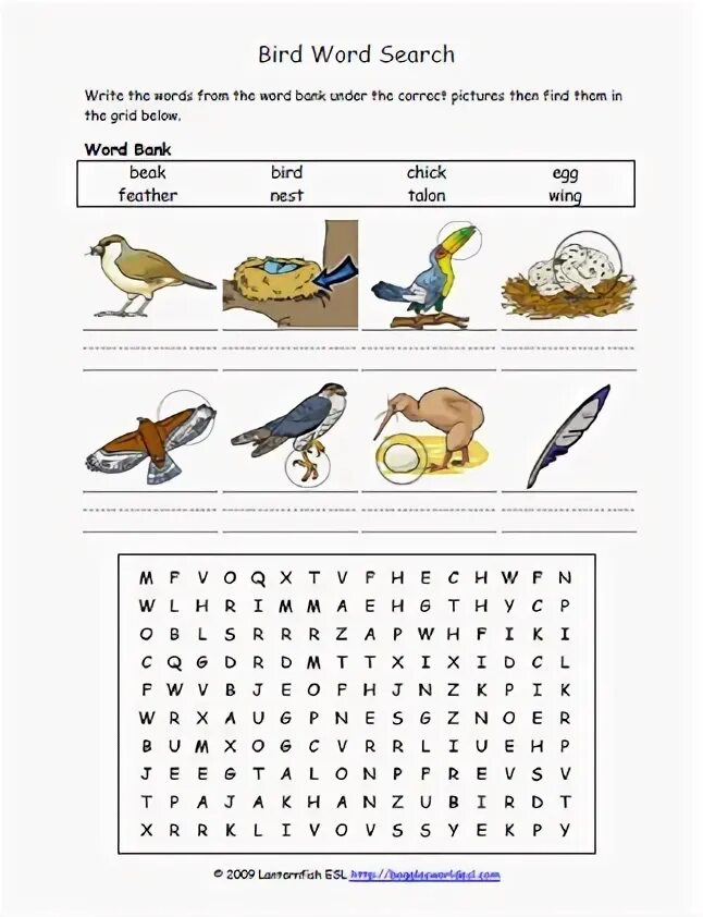 Найди слово птицы 5. Birds Wordsearch. Bird Word. Birds Word list. Lovebirds Word search.