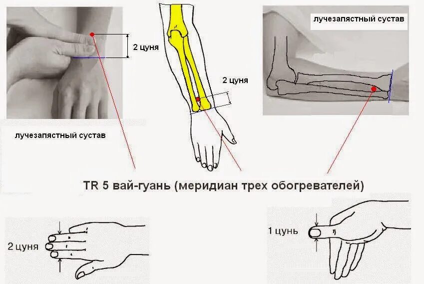 Локти или логти как правильно