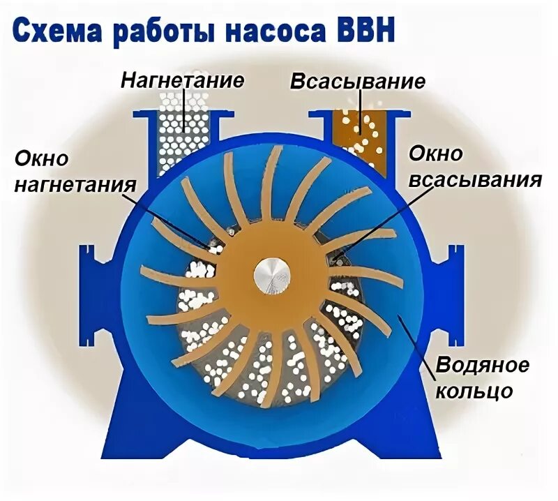 Жидкостно кольцевой. Жидкостно-кольцевые вакуумные насосы принцип работы. Водокольцевой вакуумный насос ВВН. Водокольцевой вакуумный насос НВВ-75. Водокольцевой вакуумный насос принцип работы.