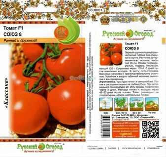 Сорта томатов кострома отзывы