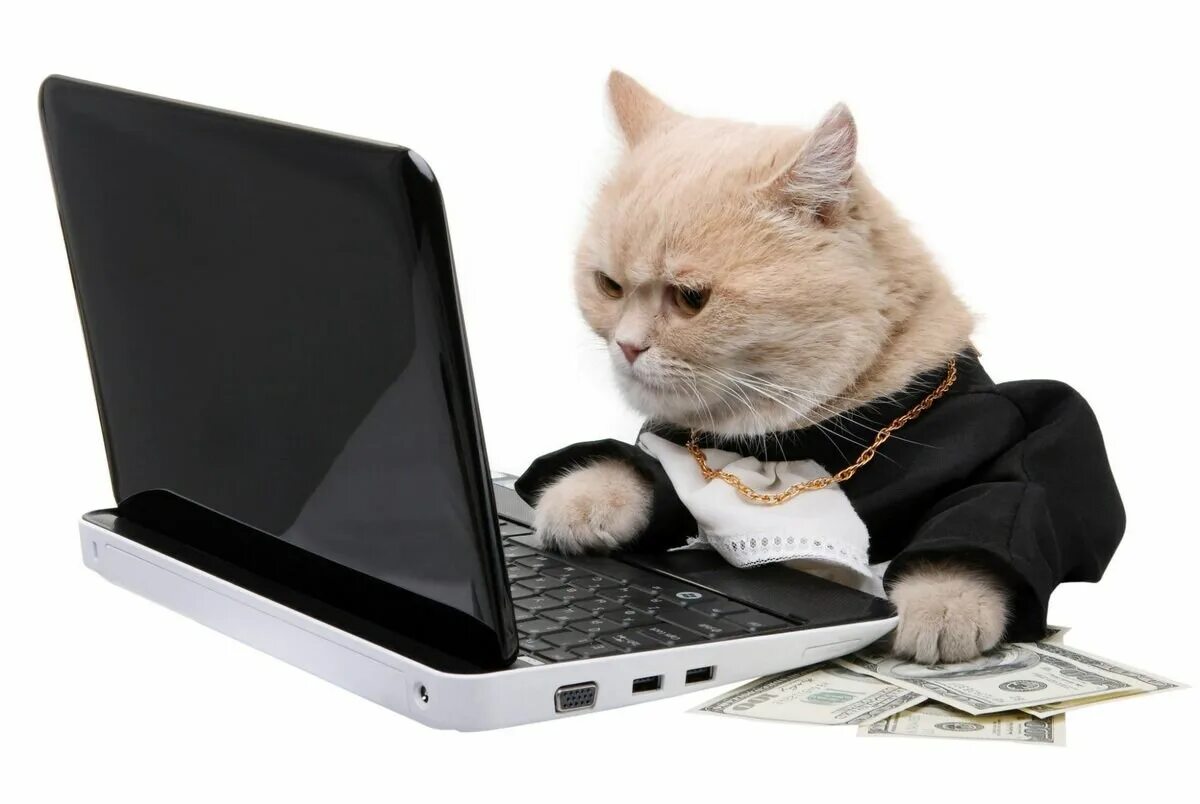 I work on my computer all day