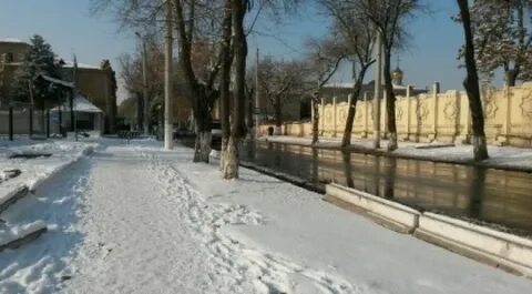 Ташкент в феврале