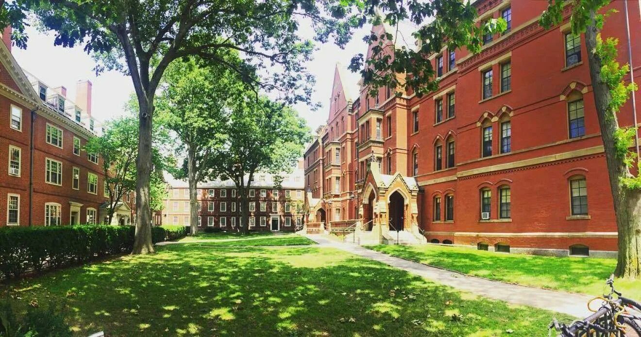4 year university