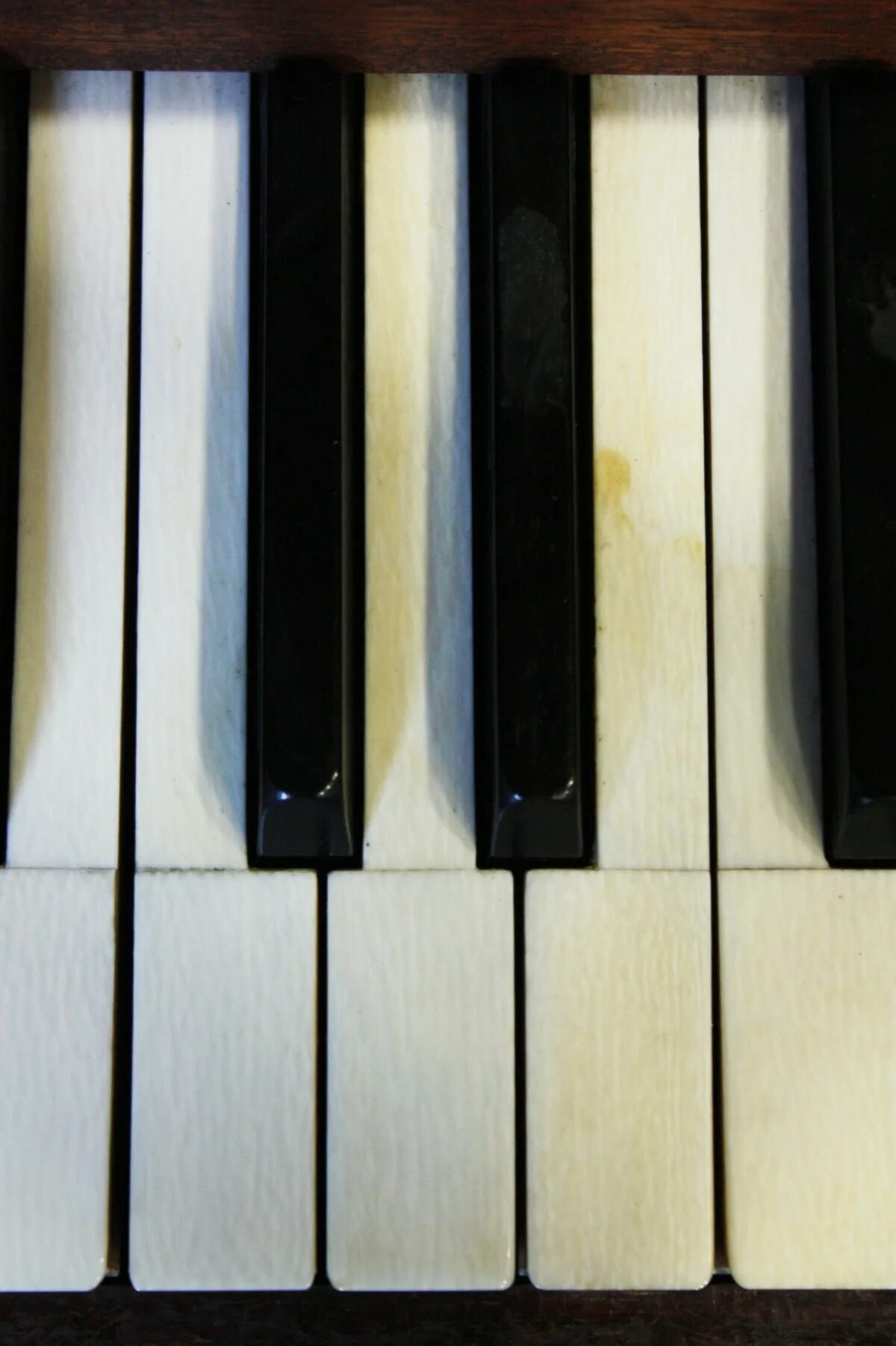 Клавиши пианино. Клавиатура пианино. Фортепианные клавиши. Клавиатура рояля. Piano sounds