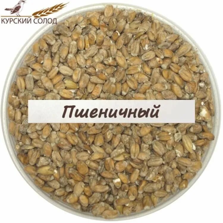Солод содержание. Пшеничный солод. solod пшеничный. курский солод. ржаной курский солод.