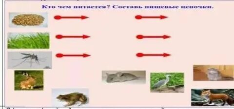 Цепи питания не менее 4 звеньев. Цепи питания не менее 4 звеньев