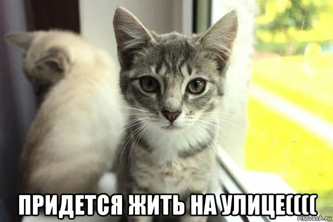 Какой придется