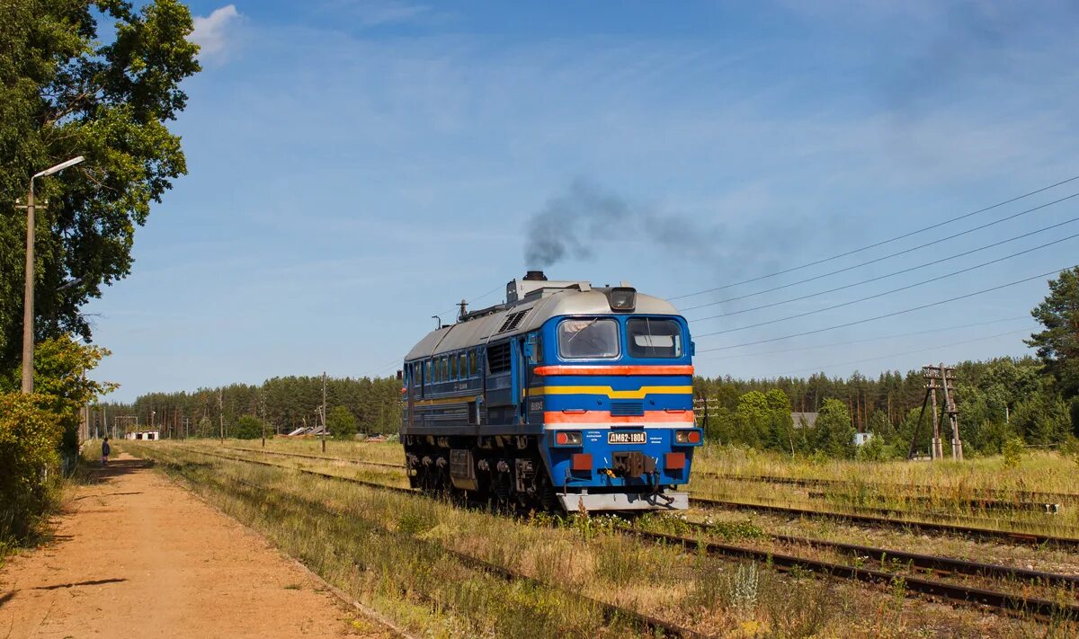 Поезд спб торжок. Дм62-1727. Тэп70-0183. Детская железная дорога торжок. Тепловоз м62 на колесах.