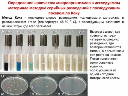 Определение чистой культуры