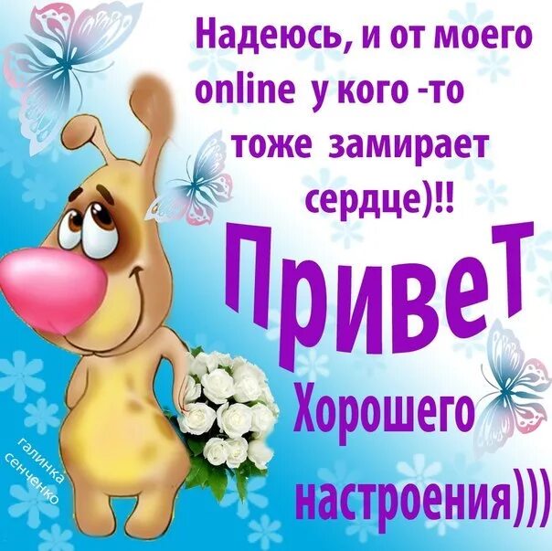 Приветик хорошего дня и настроения картинки. Хорошего дня и хорошего настроения. хорошо дня и отличного настроения. отличного дня и отличного настроения. доброго дня и хорошего настроения.