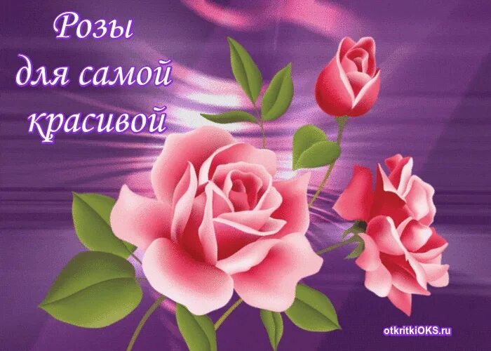 Самой самой картинки женщине. Открытка самой красивой девушке. Розы для самой красивой девушки. Цветы для самой красивой. Открытка самой прекрасной женщине.