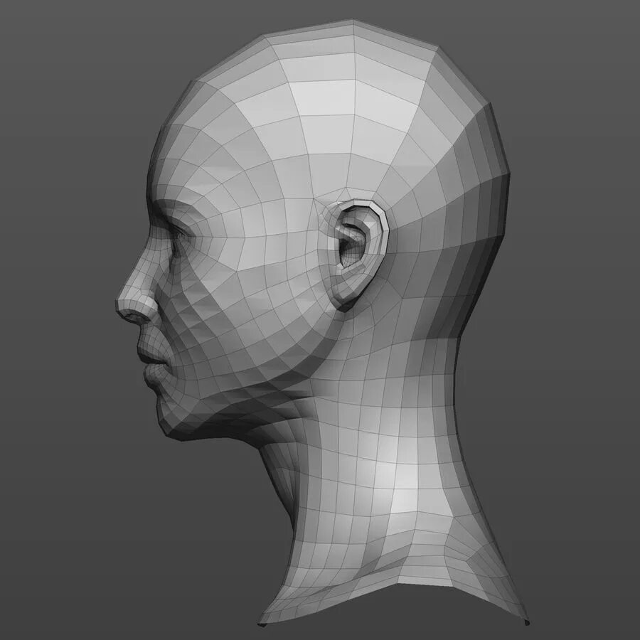 Head modeling