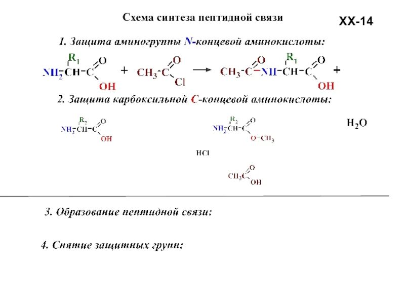 Гидролизу подвергаются полипептиды. Схема синтеза пептидов. Синтез n концевого дипептида. Защита карбоксильной группы пептидов. Схема реакции синтеза трипептида.