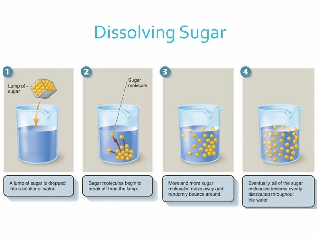 Модель растворения сахара в воде. Сахар растворение в воде. Опыт растворение сахара в воде. Процесс растворения кусочка сахара в воде. Растворение сахара явление