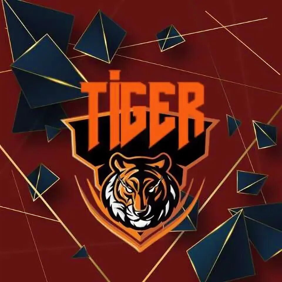 Покажи американского тигра. Tiger 24. Тайгер тигр. Tiger 24. Белые тигры», 1981.