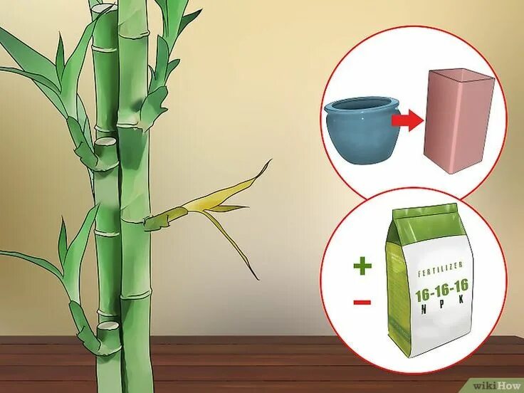 Как подключить bamboo