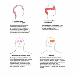 Вялая голова почему