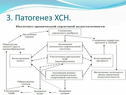 Сердечная недостаточность патогенез