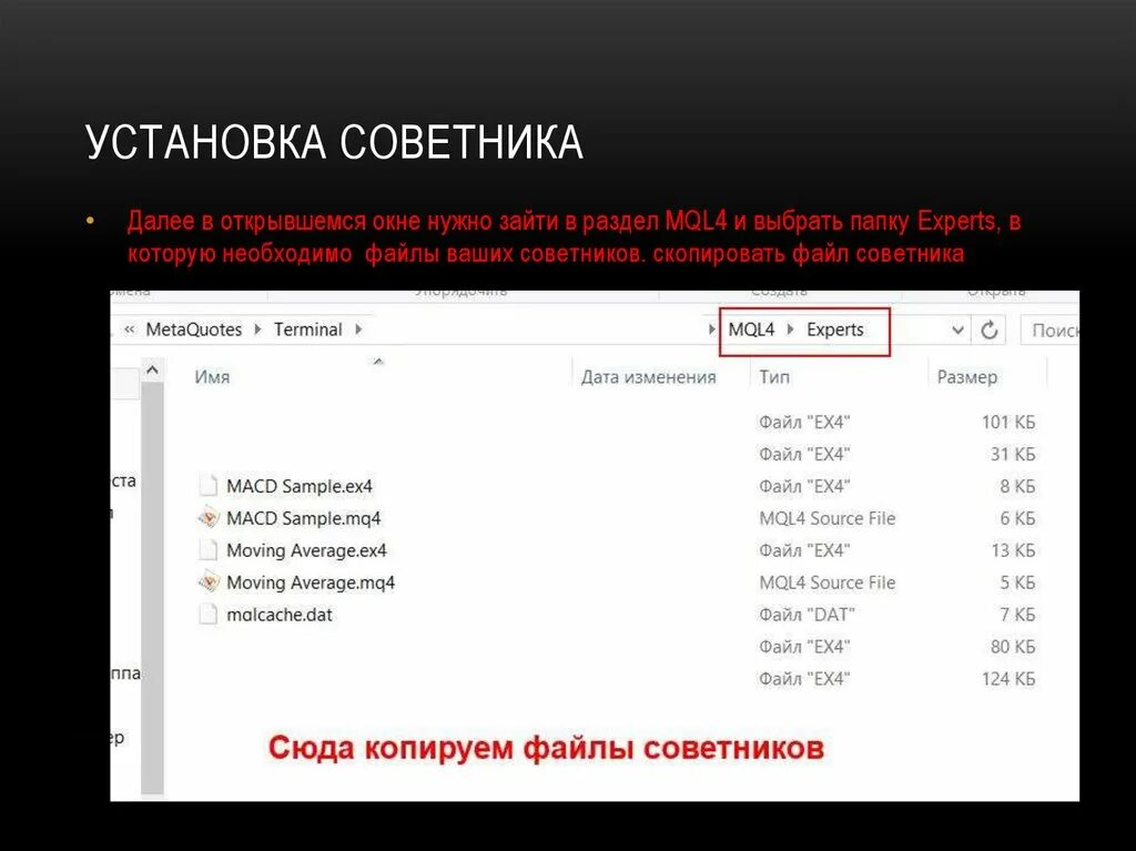 Изменение исходного кода. Как открыть ex4 файл. Danfoss Формат данных 4xxxx. Файл ex67а2ё1. Про файл 04.