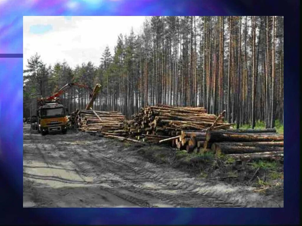 Вырубка лесов экологическая проблема. Вырубка лесов проект. Вырубка лесов на Урале. Экологические проблемы в лесах.