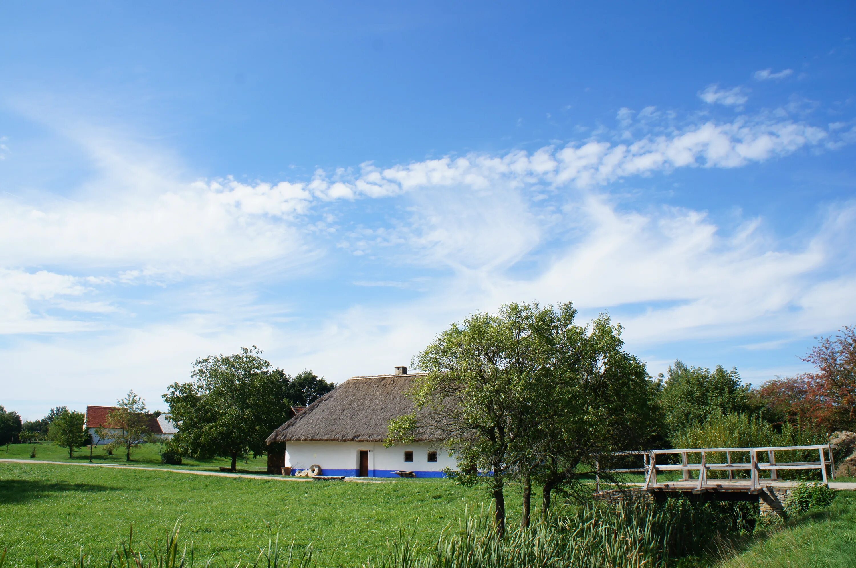 Village countryside. Зеленый луг деревня. Небо в деревне. Фон деревня. Деревня голубое небо.