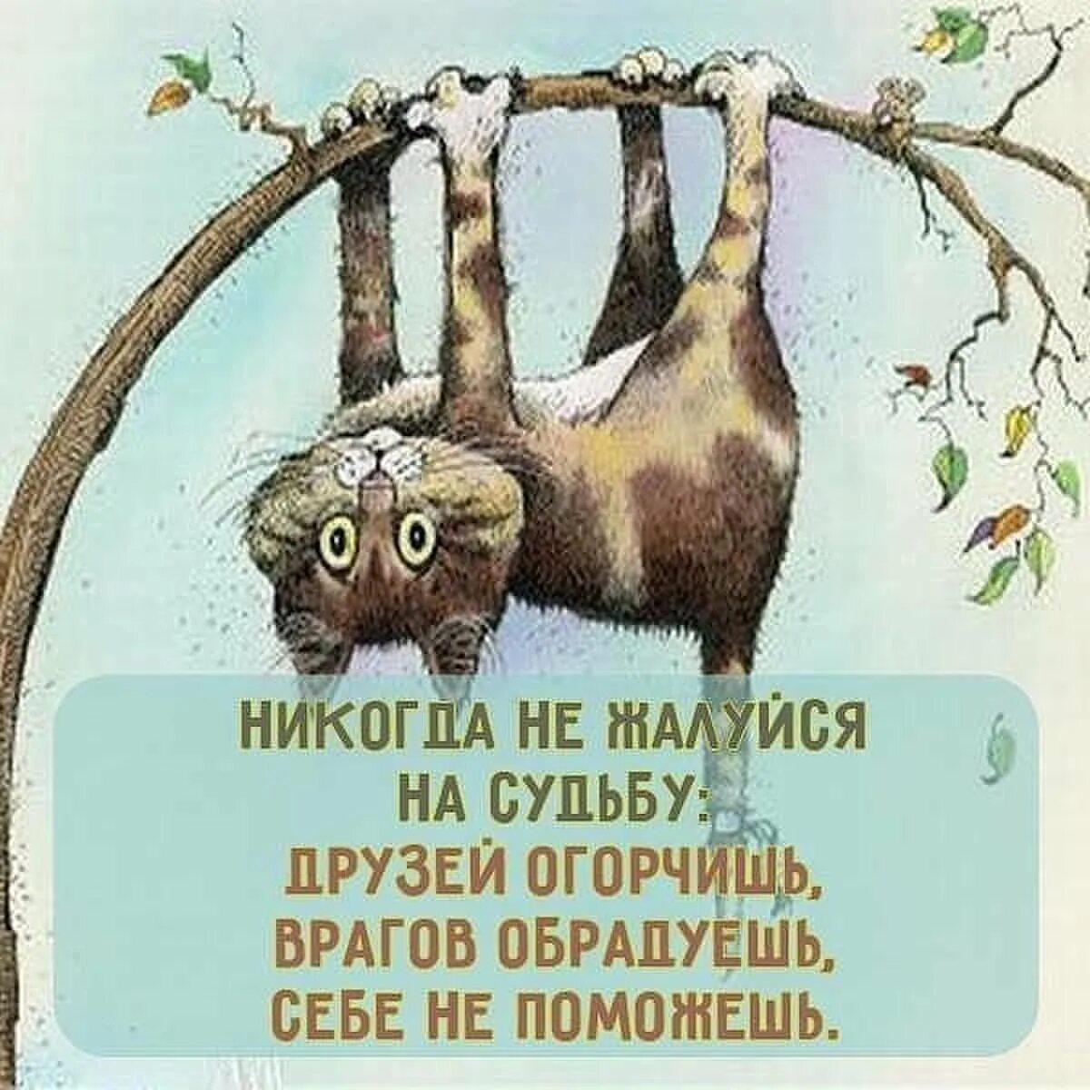 Не было ни друзей ни врагов. Никогда не жалуйся на судьбу. не жалуйся на судьбу. никогда не жалуйся на судьбу друзей огорчишь. не жалуйтесь на судьбу.