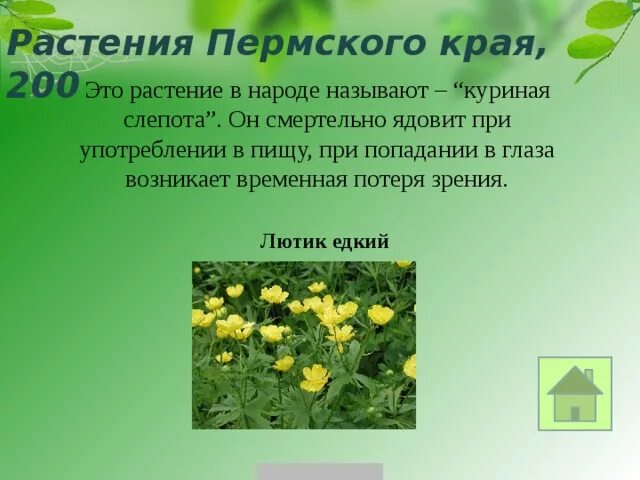 Картинки РЕДКИЕ РАСТЕНИЯ ПЕРМСКОГО КРАЯ