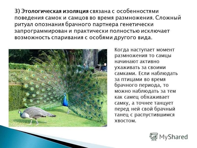 Этолооический критерии. Этологические признаки это. Этологические признаки это. Этологические признаки это. Этогологический критерий.
