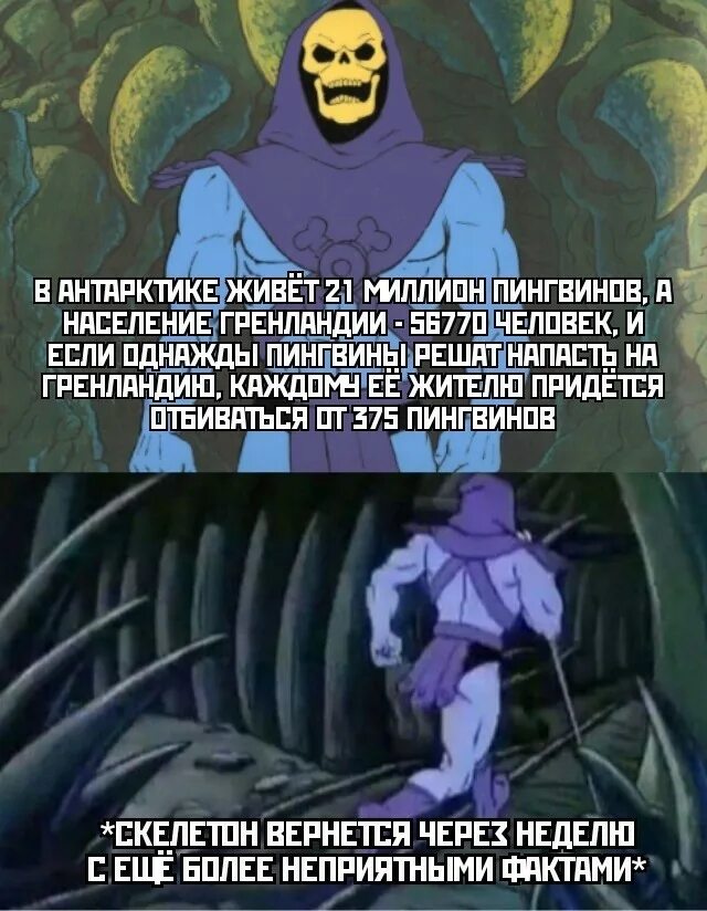 неприятные факты. школа диабета диа-арифметика. неприятные факты. неприятные факты. скелетор мем факты.