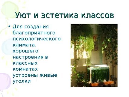 Эстетик класс