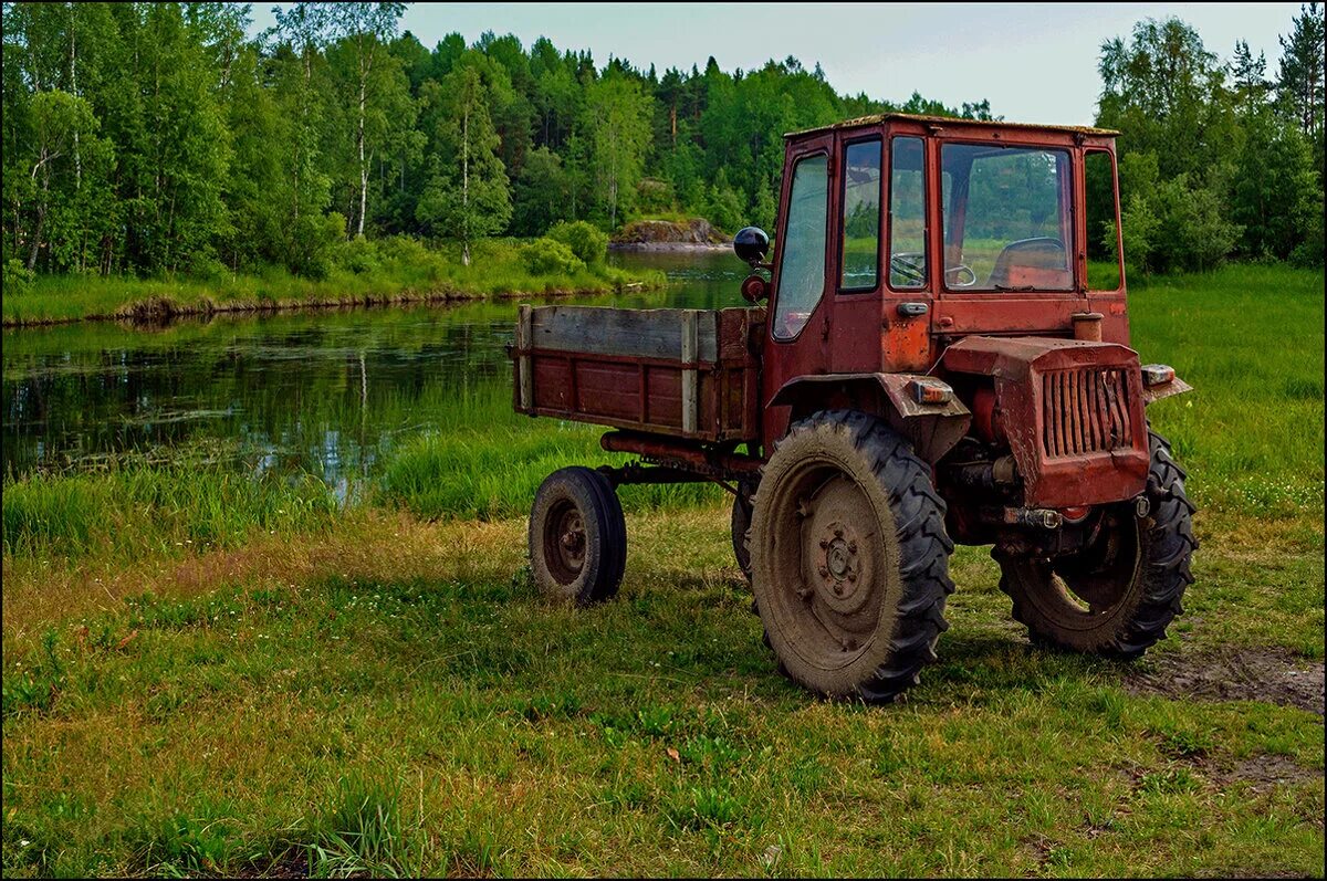 Двуколка тарантас. Тарантайка на колесах. Картинки автомобили и трактора на природе. Двуколка тарантас. Тарантайка.