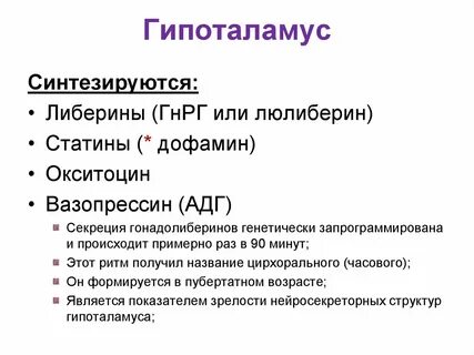 Гипоталамус