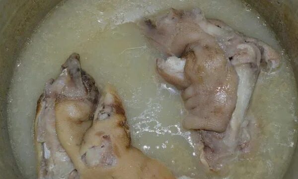 Сколько варить ногу