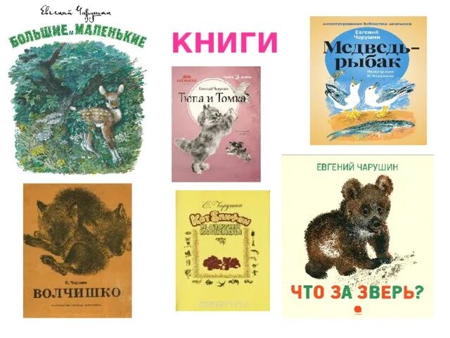 Какие рассказы е чарушина. Евгений чарушин 2 класс. какие книги иллюстрировал чарушин е.и.. чарушин книги для детей картинки. евгения чарушина и его книжки.