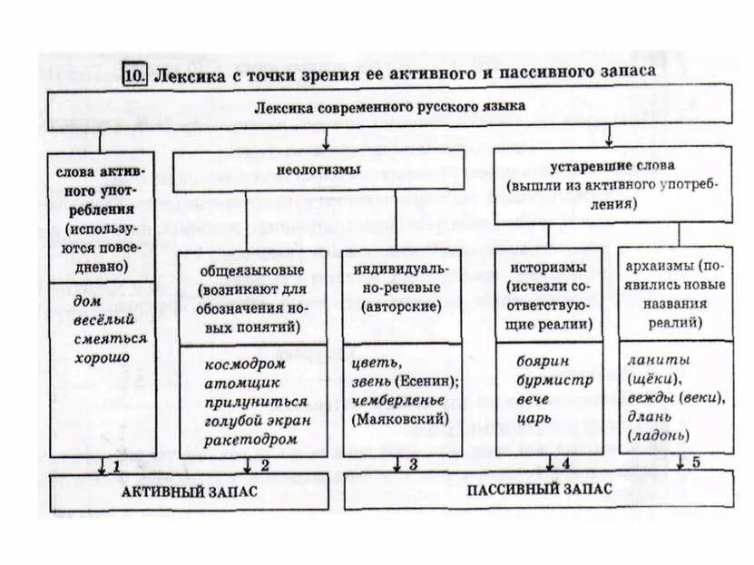 Лексика современного русского языка с точки зрения происхождения. Происхождение лексики современного русского языка схема. Происхождение лексики современного русского языка таблица. Происхождение лексики современного русского языка. Схемы лексики