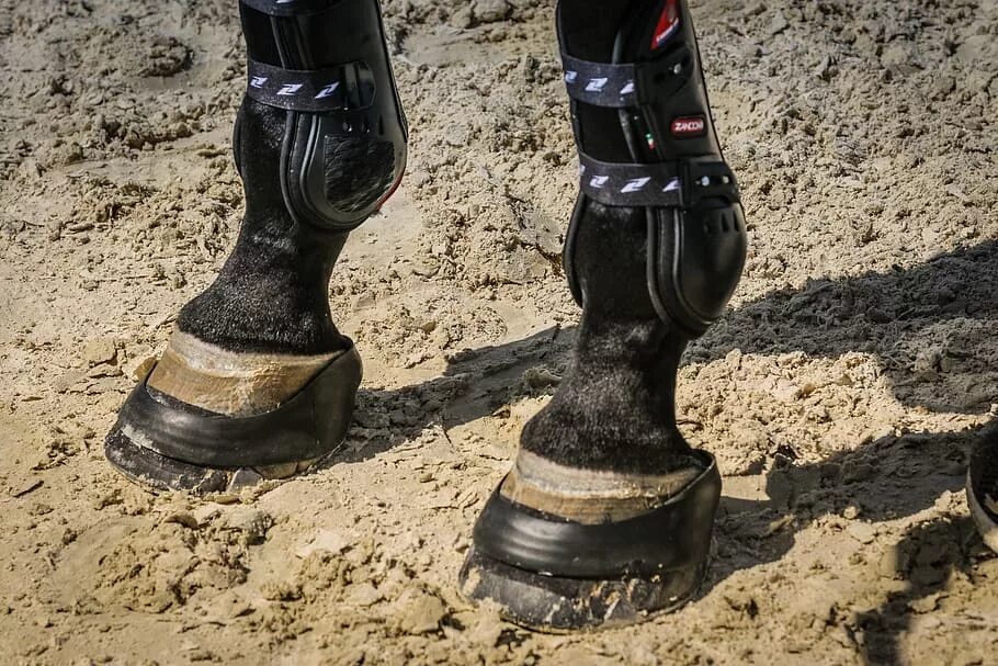 Башмак коне. Башмак коне. Башмаки кабины лифта коне. Ботинки для лошадей. Башмак kone bfk16.