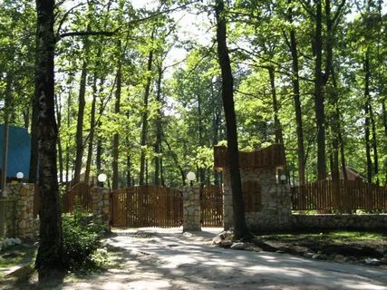 Золотой ключик турбаза рамонь
