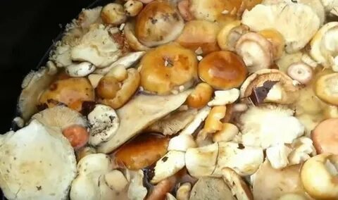 Сколько вымачивать грузди