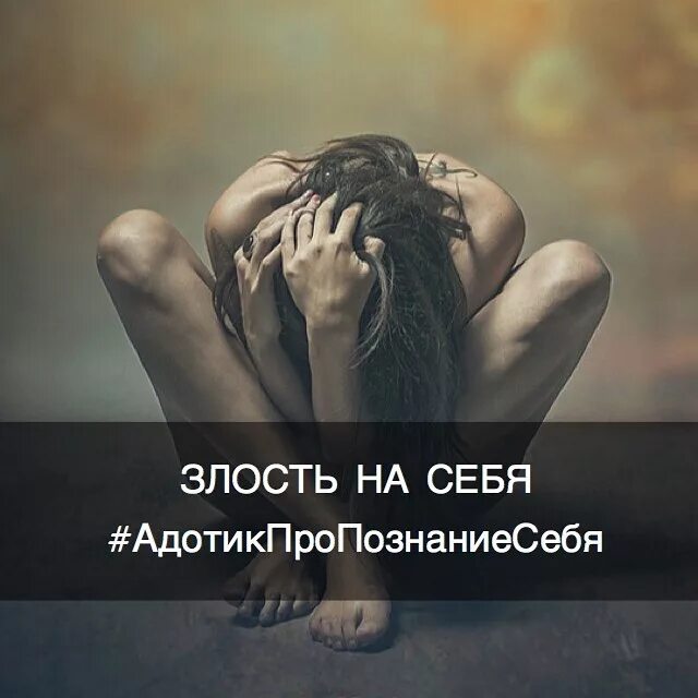 Злюсь на себя. Кот мем. Злость человека. Злая лисичка фенек. Форум злиться.