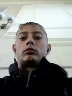 Петухи борису