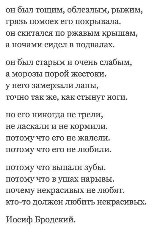 Бродский стихи ахматовой. Стихи Бродского. Иосиф Бродский стихи. Бродский известные стихи. Бродский лучшие стихотворения.