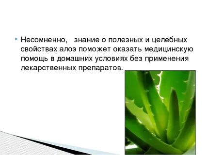 Алоэ группа растений